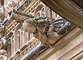 Gargolha de la catedrala de Toledo