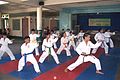 Image 54Karatekas wearing different colored belts (from Karate)