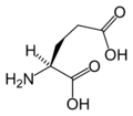 L-glutaminska kislina (Glu / E)