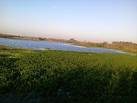 View of Yamuna from Okhla Sanctuary