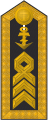 Schulterklappe Dienstanzug Marineuniformträger 20er Verwendungsreihen