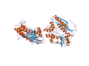 2v9y: HUMAN AMINOIMIDAZOLE RIBONUCLEOTIDE SYNTHETASE