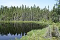 Image 26Blackjack Springs Wilderness, in the Chequamegon–Nicolet National Forest. (from Geography of Wisconsin)