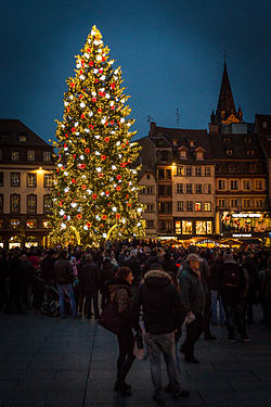 Le grand sapin de Noël de Strasbourg en 2014.
