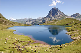 Photo d'un lac d'altitude avec des moutons broutant à côté, au second plan une montagne qui se reflète dans le lac.