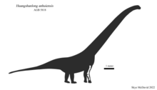 Diagramme squelettique de Huangshanlong anhuiensis