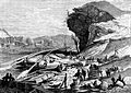 Image 14The Tennessee at Chattanooga, 1872, by Harry Fenn (from History of Tennessee)