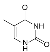 Thymine (T)