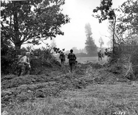 Trouée dans une haie du bocage faite par un Sherman Rhino. Le niveau technique de la guerre.