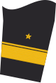 Ärmelabzeichen Dienstanzug Marineuniformträger (Truppendienst)