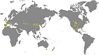 装盾類の分布図