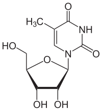 Strukturformel von Ribothymidin