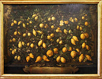 Бартоломео Бімбі. «Цитрини та лимони», Музей натюрмортів, Флоренція.