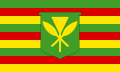 Vlag van de Hawaïanen