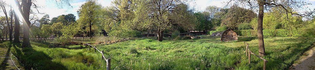 Perspective à l'anglaise : panorama du jardin écologique depuis l'allée Roger Heim