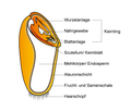 Vorschaubild der Version vom 23:58, 16. Jul. 2007