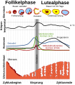 Duumnagelbild för Version vun’n 15:38, 23. Mär 2008