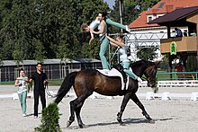 Un cheval marron foncé tourne en cercle en portant trois jeunes femmes sur son dos