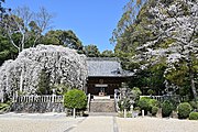 土呂八幡宮