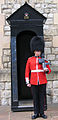 Guardián de Gales en la Torre de Londres, Inglaterra.