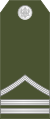Stariji vodnik (Montenegrin Ground Army)[23]