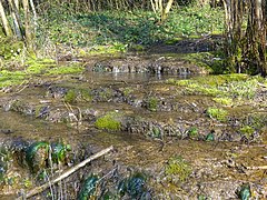 Tuf calcaire et gours du Vallon de Bléron