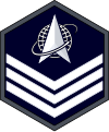 美國太空軍中士臂章