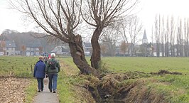 Zicht op Bassevelde