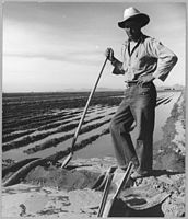 Zavlažovač, který přišel před dvanácti lety z Mexika, pracuje na této rozsáhlé farmě celý rok. Tato pole se připravují na pěstování lnu, ale nikdy předtím úrodu neměli. Okres Eloy, Pinal County, Arizona, listopad 1940.
