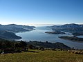 Lyttelton Harbour