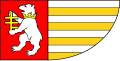 Flag of Radzyński County