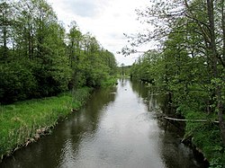 Молчадь в деревне Серафины