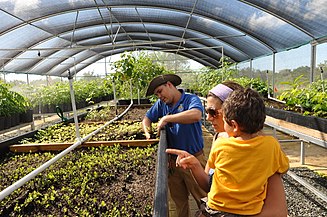 José at the USFWS Greenhouse in Boquerón