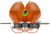 Emblem of Papua New Guinea (en)