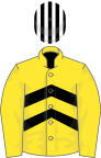 Yellow and black chevrons, yellow sleeves, white and black striped cap