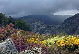 Serra da Estrela, cel mai înalt lanț muntos din Portugalia continentală⁠(d).