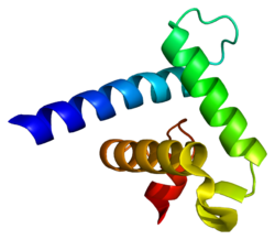 Структура домена TAZ2 (аминокислотные остатки 1764—1850) CREBBP мыши. Изображение из базы данных PDB