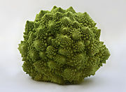 Romanesco