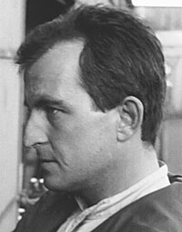 Ludovico Scarfiotti, 1966.