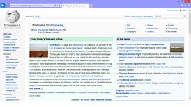 Скриншот программы Internet Explorer