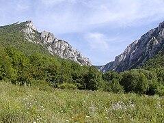 Zádielska tiesňava Pass al Karst eslovac (Eslovàquia).