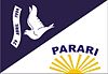Flag of Parari, Paraíba