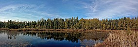 Redmond's Pond.