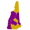 Democratic Primaries for the United States Presidential election in New Hampshire, 2008