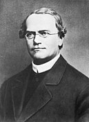 Gregor Mendel, părintele geneticii