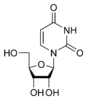 Hemijska struktura uridina