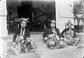 Anak Agung Agung Anglurah Ketut Karangasem with the king of Gianyar and Bangli.