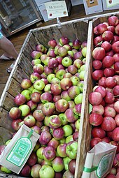 Manzana 'McIntosh', Russell Orchard, Ipswich, Massachusetts.