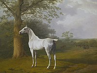 Yaylovdagi oq ot, 1806—1807, Oskar Reynxart fondi, Vintertur