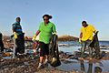 מתנדבים אוספים פסולת שנצברה בחוף ים
